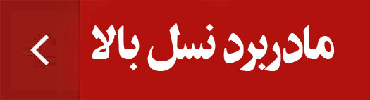 شماره 3
